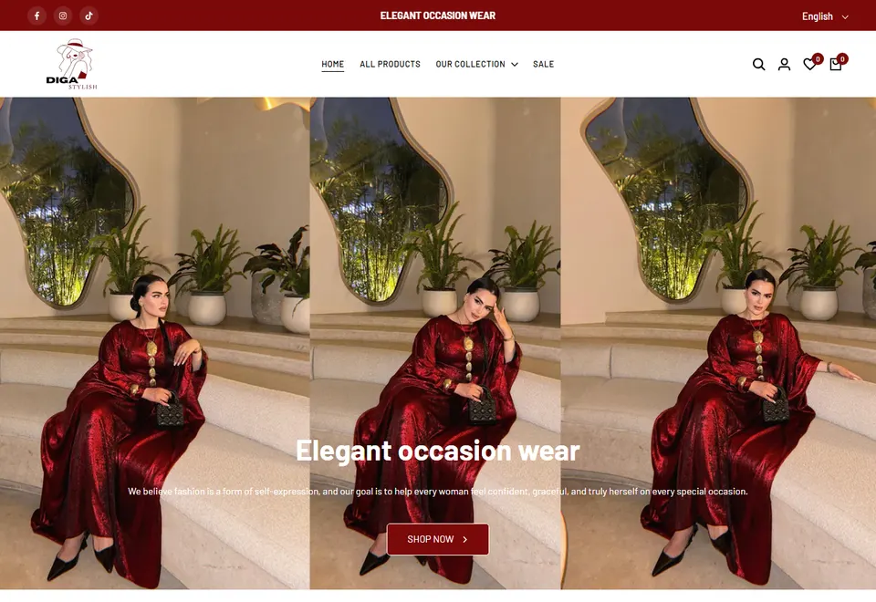 Screenshot of the Diga Stylish website